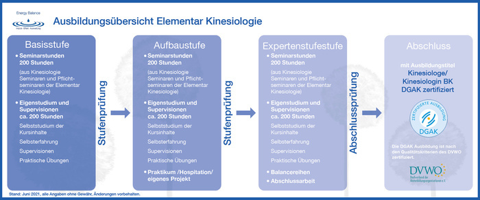 �bersicht Kinesiologie Ausbildung Energy Balance